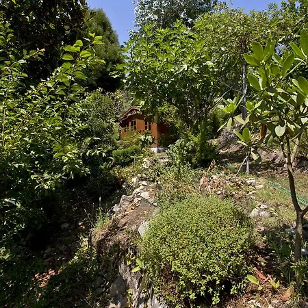 Casa Da Beira Rio - Country Side Vacation Holiday home